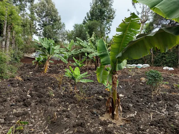 1/8 Acre Plot for Sale in Kiserian - 1
