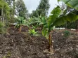 1/8 Acre Plot for Sale in Kiserian - 1