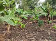 1/8 Acre Plot for Sale in Kiserian - 2