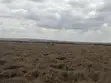 Plots for Sale in Konza Technopolis - 3