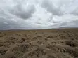 Plots for Sale in Konza Technopolis - 5