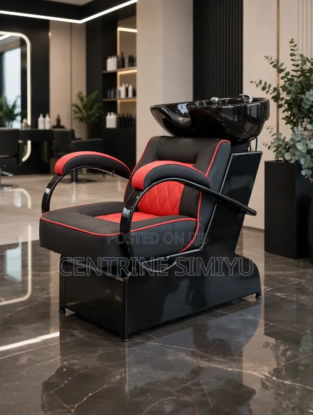 Executive Salon Wash Chair with Sink - 1