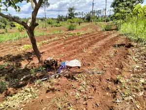 1/4 Acre Land for Sale in Kirinyaga Near Kagio