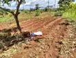 1/4 Acre Land for Sale in Kirinyaga Near Kagio - 1