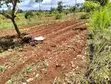 1/4 Acre Land for Sale in Kirinyaga Near Kagio - 3