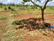 1/4 Acre Land for Sale in Kirinyaga Near Kagio - 4