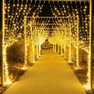 Nuru za Pazia za LED za Nje 3x3M
