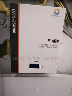 Lvtopsun 25.6V 100Ah 2.56kWh LiFePO4 Lithium Battery