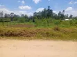 Kitalu cha 50x100 Kinauzwa Makunga - 2