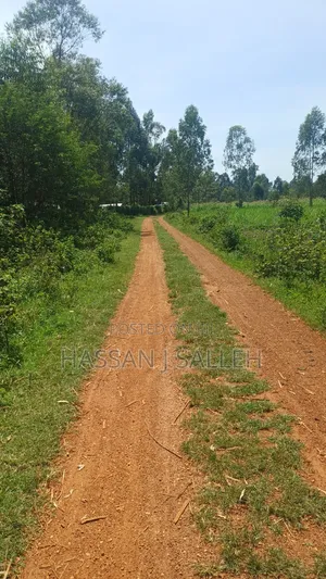 1/2 Acre Plot for Sale in Mumias Lureko