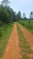1/2 Acre Plot for Sale in Mumias Lureko - 1