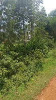 1/2 Acre Plot for Sale in Mumias Lureko - 3