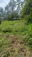 1/2 Acre Plot for Sale in Mumias Lureko - 4