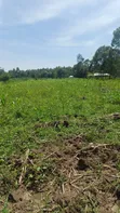 1/2 Acre Plot for Sale in Mumias Lureko - 5