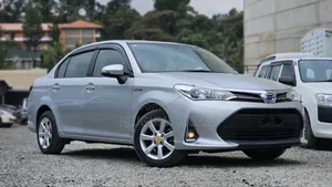 Toyota Axio 1.5 Hybrid 2WD 2019 Nyeupe