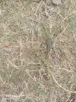Joska Kinanie Road Land - 16 Acres, 2km Off Tarmac - 1