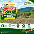 Thika Plots for Sale - Kilimambogo & Muthaara - 1