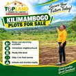 Thika Plots for Sale - Kilimambogo & Muthaara - 4