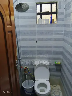 2-Bedroom House & Bedsitter for Rent in Kasuna Stage, Ahero