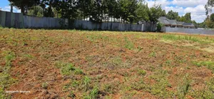 Kitalu cha Golden Palm Estate Kiambu Rd 1/4 Acre