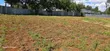 Kitalu cha Golden Palm Estate Kiambu Rd 1/4 Acre - 1