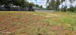 Kitalu cha Golden Palm Estate Kiambu Rd 1/4 Acre - 2