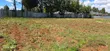 Kitalu cha Golden Palm Estate Kiambu Rd 1/4 Acre - 3