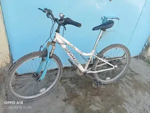 Mountain Bike - 24" Wheels