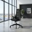 Kiti cha Ofisi cha Ergonomic Mesh Boss - Kipya Kabisa - 4