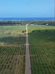 1 Acre Ocean-View Land for Sale in Vipingo, Kilifi County - 4