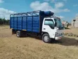 Isuzu NPR Lorry 2015 | 4300cc Diesel Manual | Locally Assembled - 2