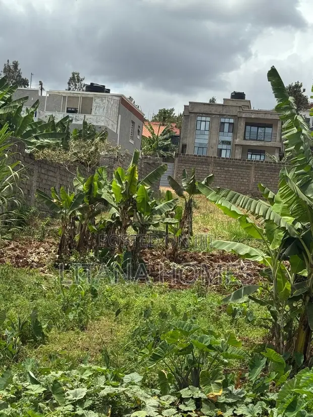 50x100 Plot for Sale in Ngoigwa, Thika - 1