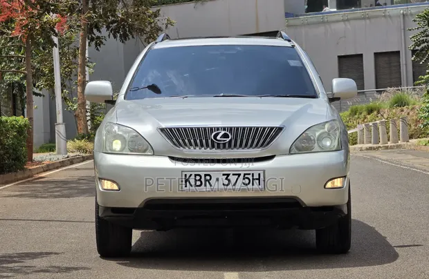 Lexus RX 300 2005 Silver - 1