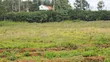 Commercial Plot for Sale - South B - 1