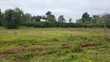 Commercial Plot for Sale - South B - 5
