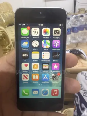 Apple iPhone SE 16GB Silver (1st Gen)