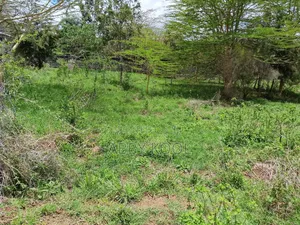 Kiwanja cha Matumizi Mchanganyiko, Athi River
