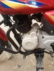 Bajaj Boxer 125 2024 Red - 2