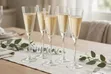 Seti ya Vipande 6 vya Champagne Glass vya Premium - 1