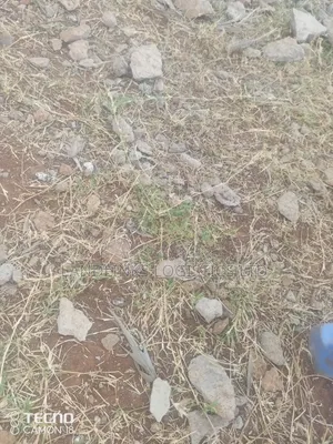 Malaa Land for Sale - 5 Acres, 3.5km Off Kangundo Rd