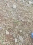 Malaa Land for Sale - 5 Acres, 3.5km Off Kangundo Rd - 1