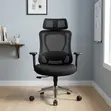 Ergonomic Task Executive Office Chair - Black - 1