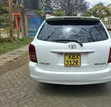 Toyota Corolla Fielder 2007 White - 4