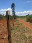 0.22 Acre Kadongo Plot for Sale - KES 1.5M - 2