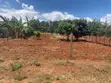 0.22 Acre Kadongo Plot for Sale - KES 1.5M - 5