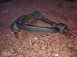 Toyota Hiace 7L Upper Arm (Front Wishbone) - 1