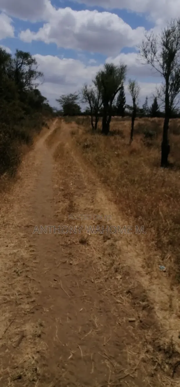 Viwanja Maai Mahiu 50x100 900m kutoka Barabara ya Narok - 1
