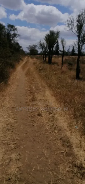 Viwanja Maai Mahiu 50x100 900m kutoka Barabara ya Narok