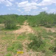 Eneo la Eka 5 kwa Mauzo Malindi - 2