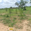 Eneo la Eka 5 kwa Mauzo Malindi - 3